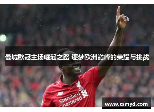 曼城欧冠主场崛起之路 逐梦欧洲巅峰的荣耀与挑战